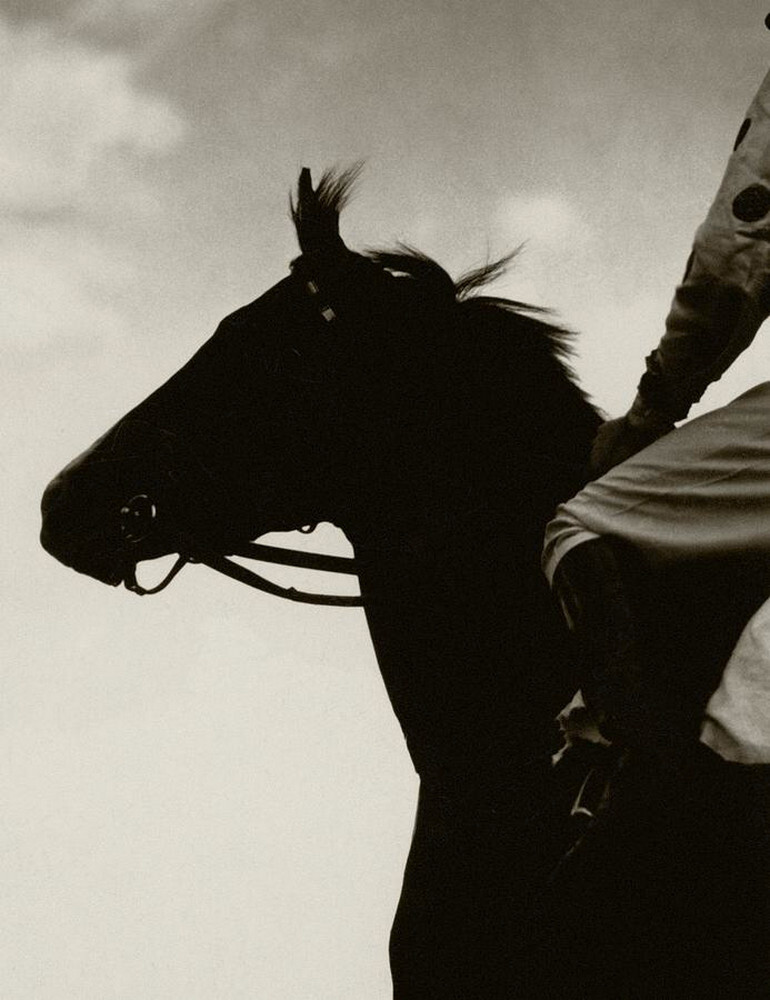 Скаковая лошадь Галантная лиса, 1930 г. Фотограф Эдвард Стайхен