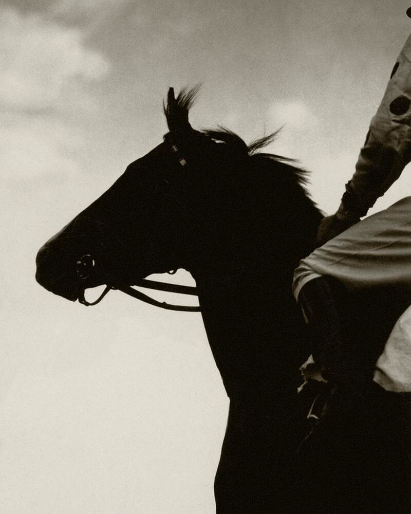 Черная скаковая лошадь, 1930 г. Фотограф Эдвард Стайхен