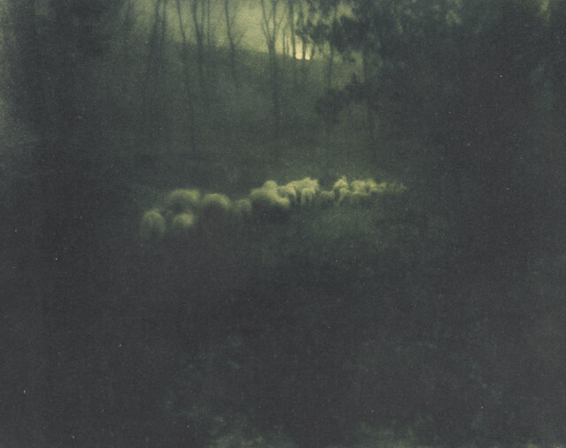 Пастораль - Лунный свет, 1907 г. Фотограф Эдвард Стайхен_1