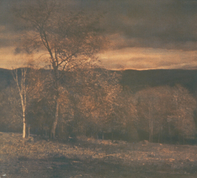Пейзаж в двух цветах, 1906 г. Фотограф Эдвард Стайхен