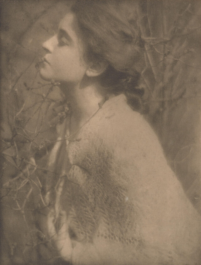 Сиреневые бутоны миссис С., 1906 г. Фотограф Эдвард Стайхен