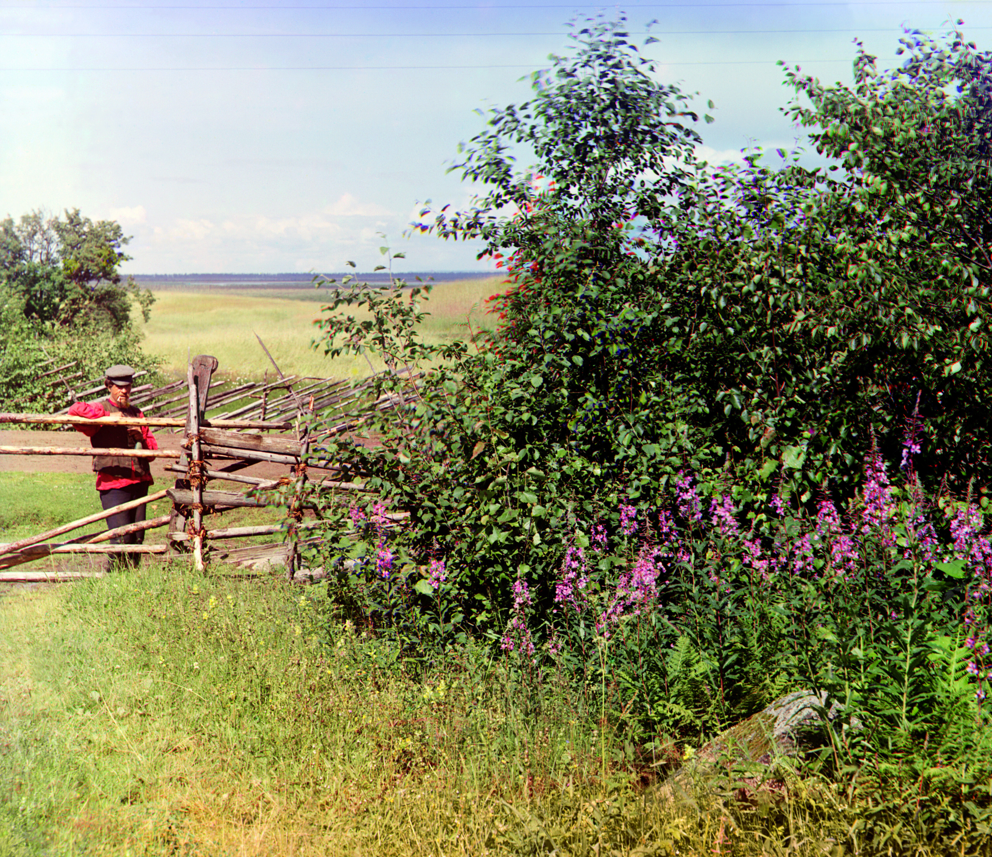 В Палтоге. Изучать. Российская империя, 1909, фотограф Сергей Прокудин-Горский