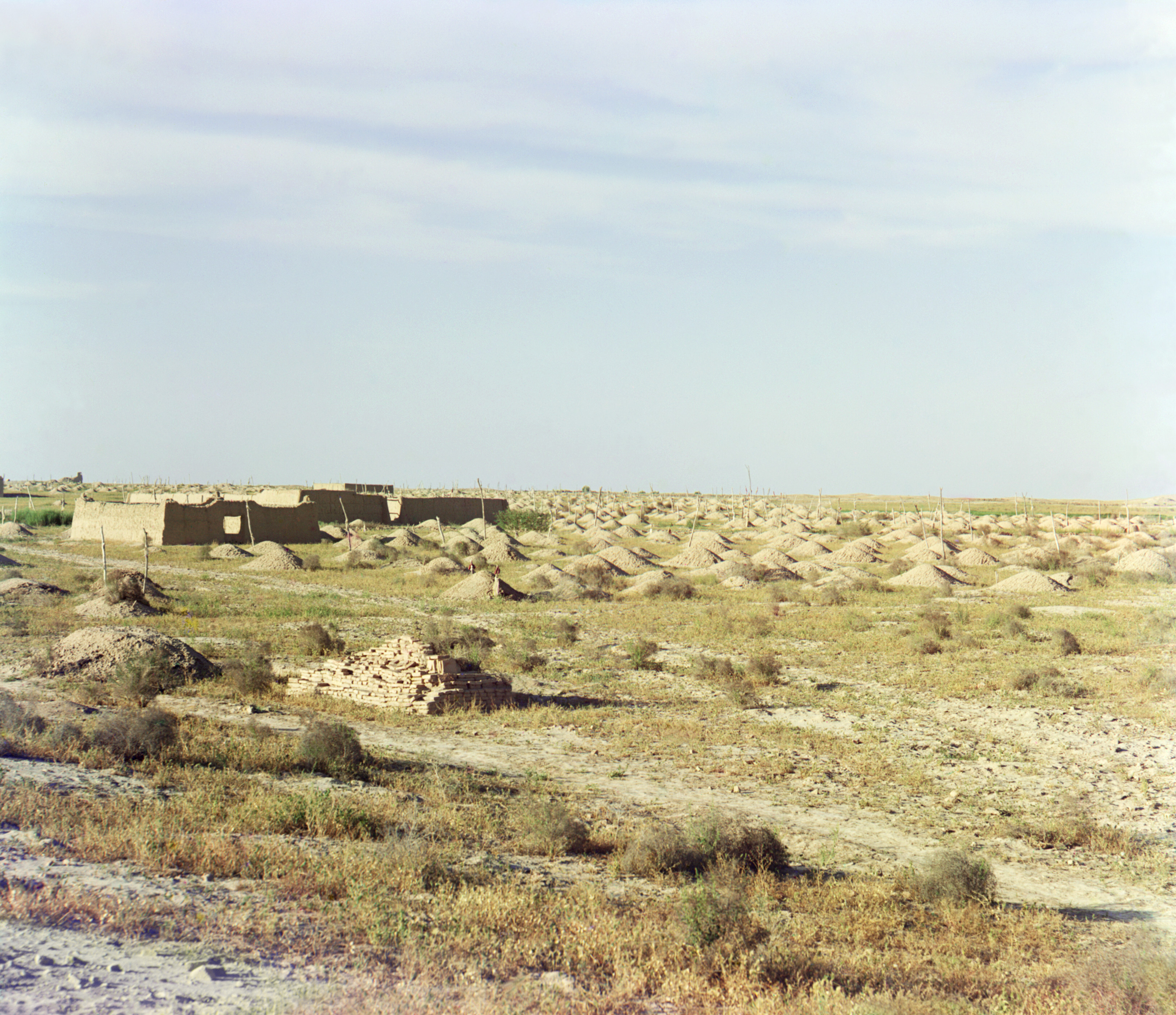 Глинобитные постройки и курганы в пустынной местности, 1905-1915, фотограф Сергей Прокудин-Горский