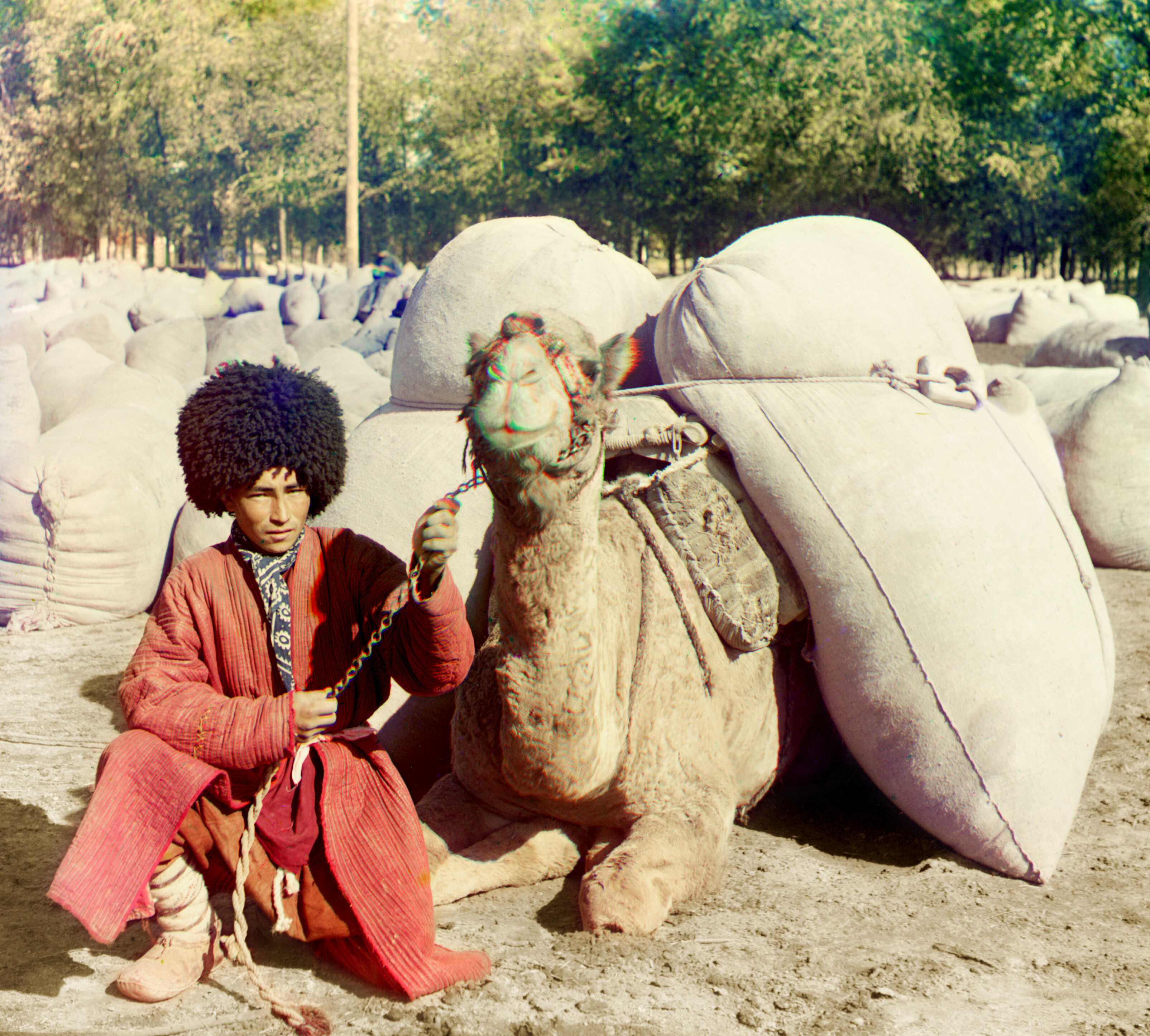 Человек с верблюдом, нагруженным рюкзаками, 1905-1915, фотограф Сергей Прокудин-Горский