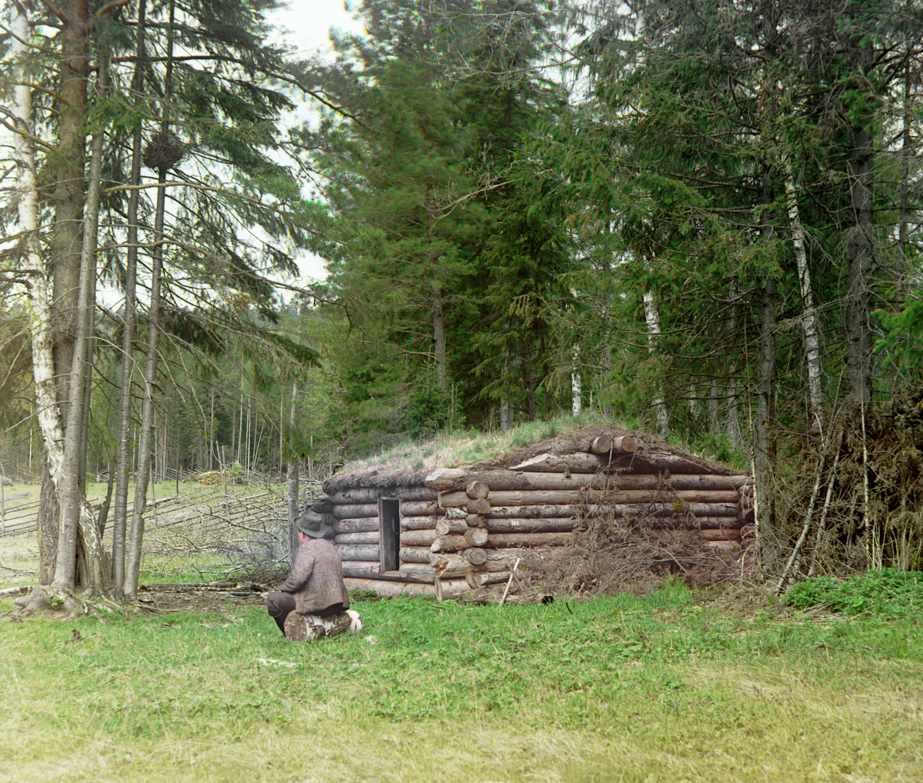 Избушка в лесу, для дровосеков и курии (горения угля), 1912 г., фотограф Сергей Прокудин-Горский