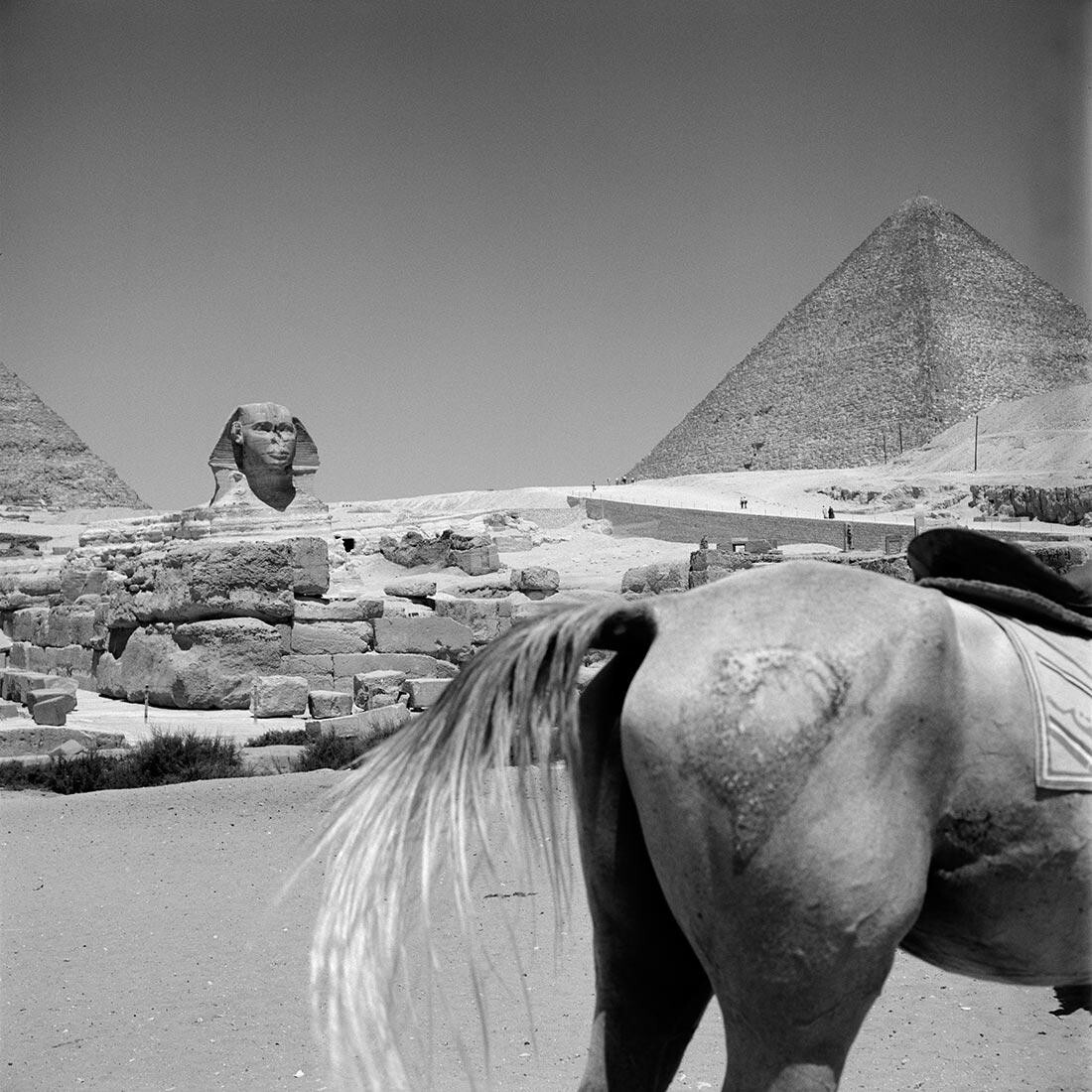 Сфинкс Гизы и пирамида Хуфу, 1959 год, Египет Фотограф Вивиан Майер