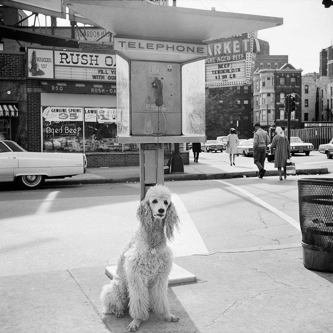 1960-е, Чикаго, Иллинойс. Фотограф Вивиан Майер