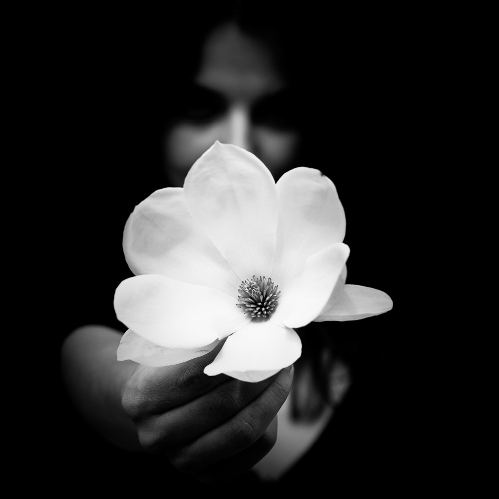 Белый цветок. Автор Бенуа Корти