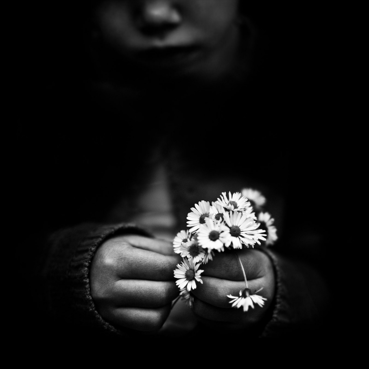 Цветок. Автор Бенуа Корти