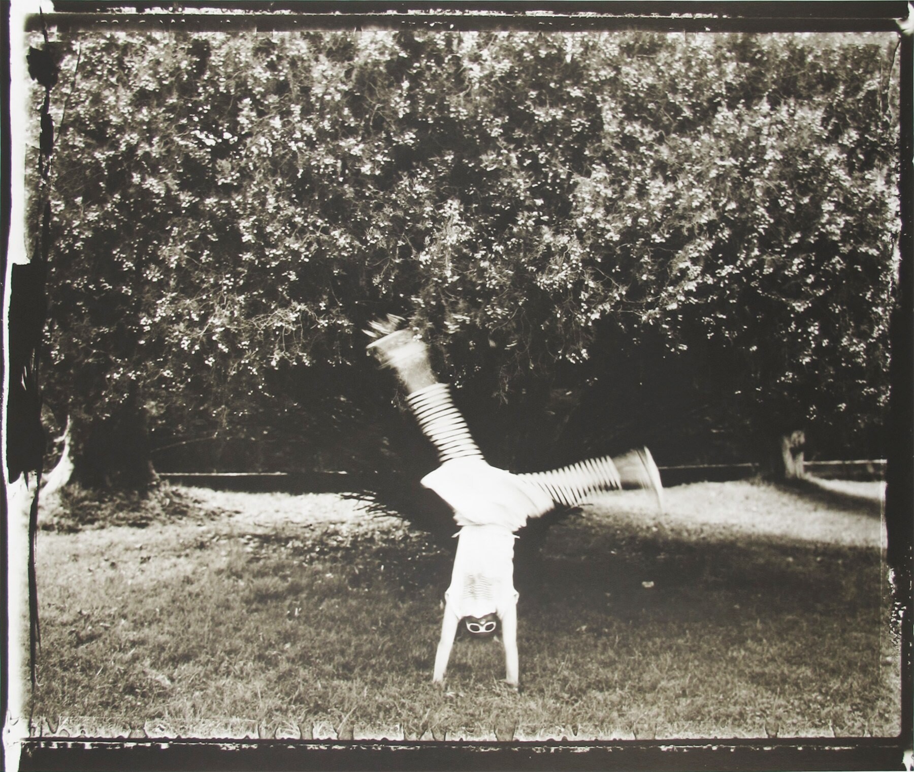 Лете, 1989 г. Фотограф Сара Мун