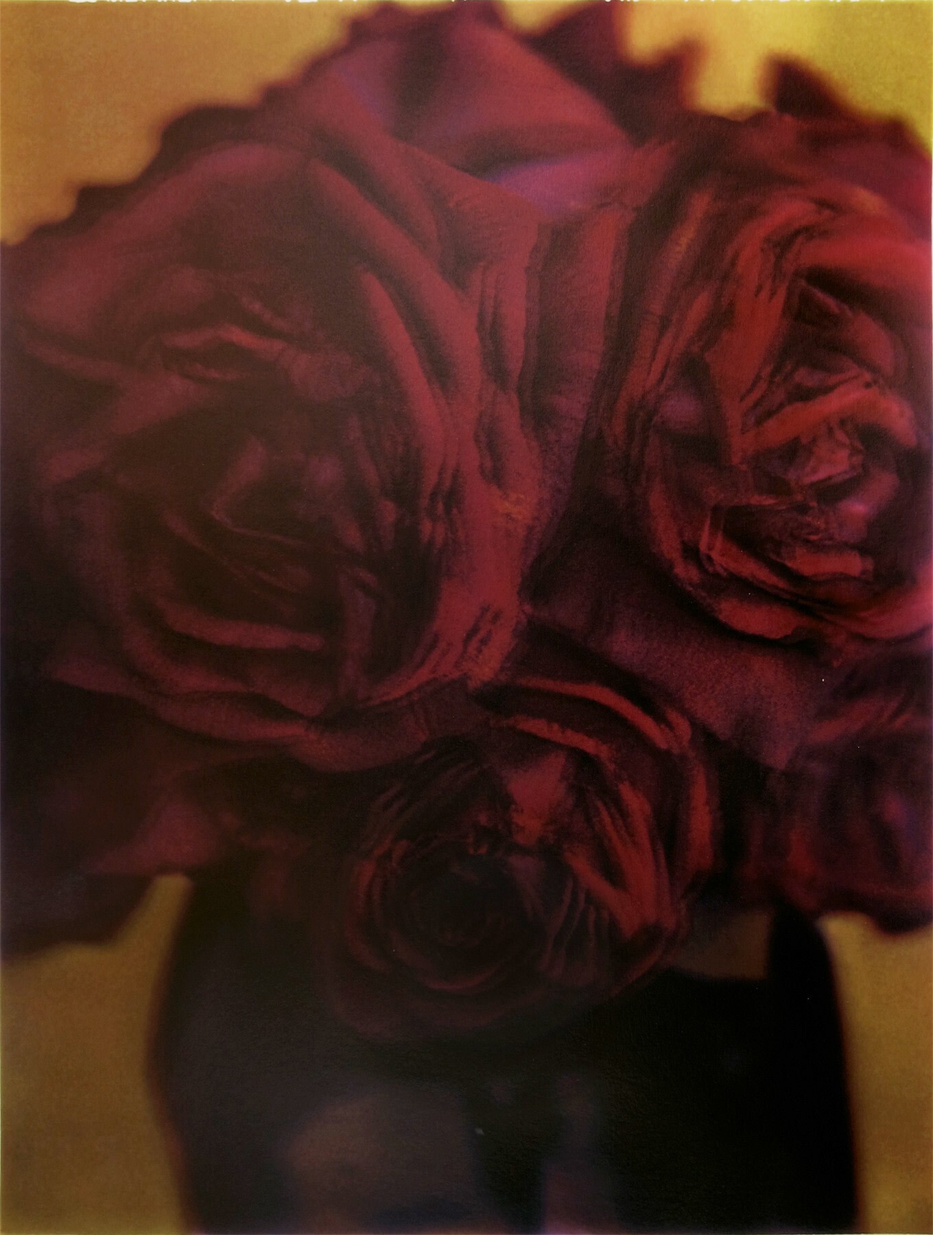 Ле розы, 1998 г. Фотограф Сара Мун