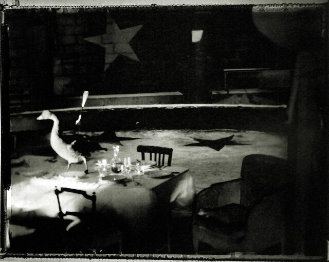 Посреди накрытого стола она видит гуся, стаканы блестят, музыка играет в громкоговорителях, как в лучшем из дней.  2000 год. Фотограф Сара Мун