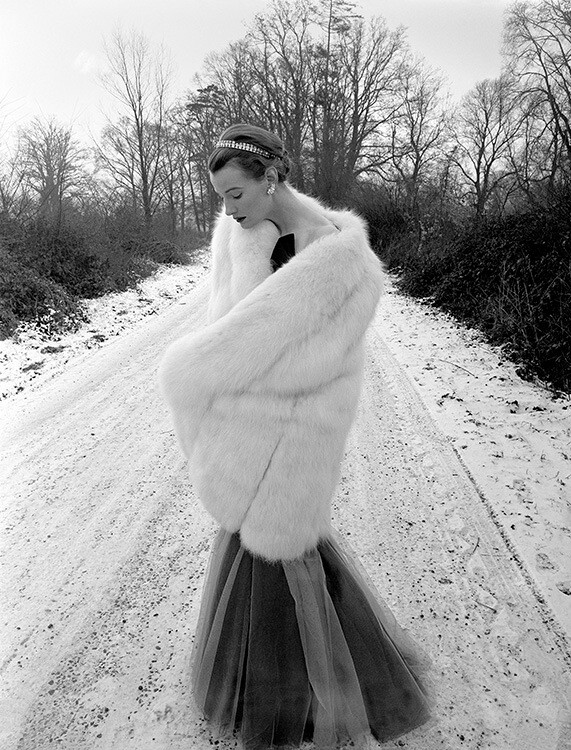 Венда Паркинсон в лисьем меху для журнала Vogue, декабрь 1950 года. Фотограф Норман Паркинсон