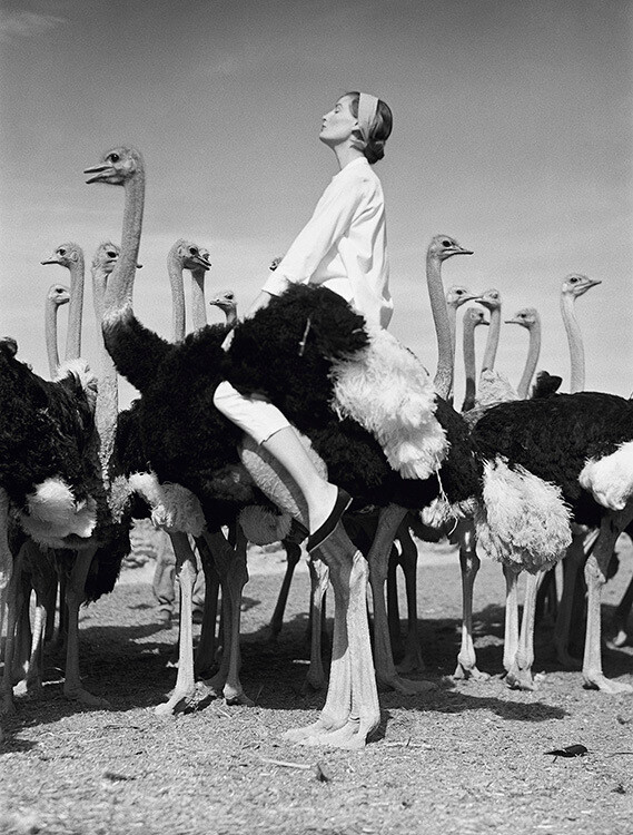 Венда Паркинсон, Южная Африка. Vogue, май 1951 года. Фотограф Норман Паркинсон