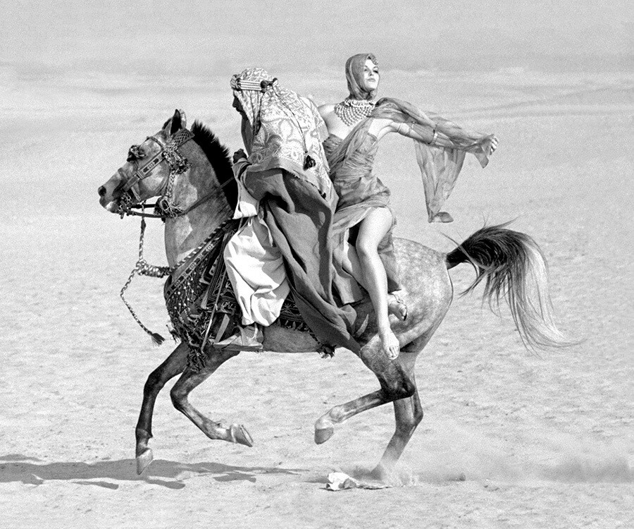 Конни Барр на лошади в Египте для Queen, февраль 1963 года. Фотограф Норман Паркинсон