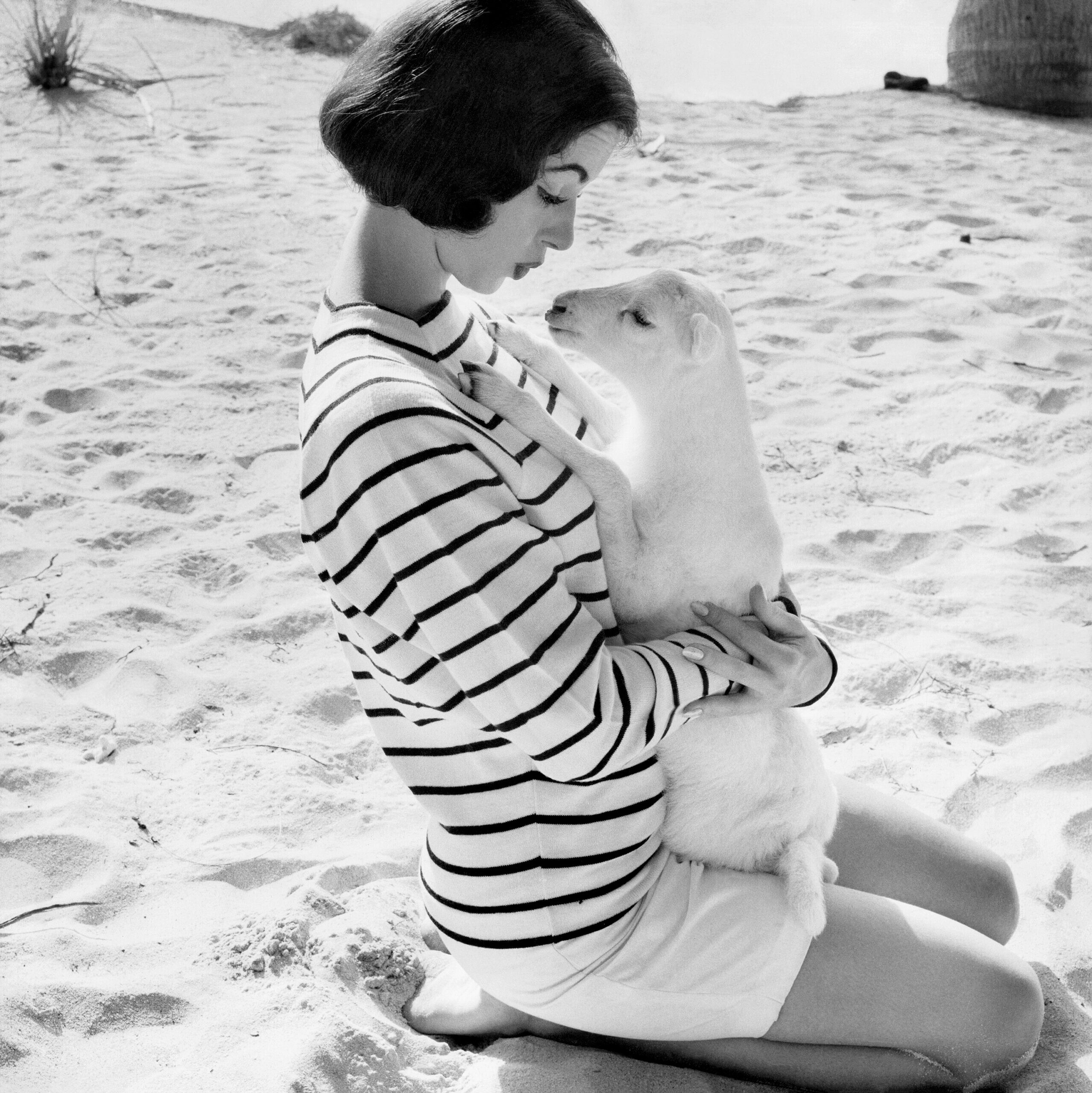 Милли Перкинс с барашком для Vogue, 1955 год. Фотограф Норман Паркинсон