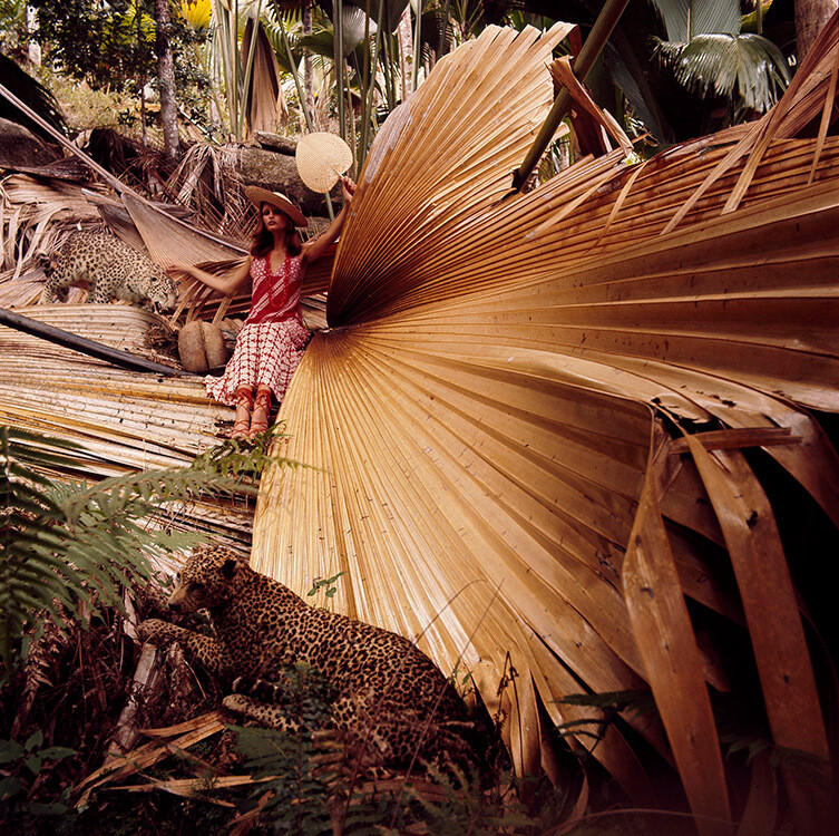 Аполлония ван Равенштайн на Сейшельских островах для Vogue, 1971 год. Фотограф Норман Паркинсон