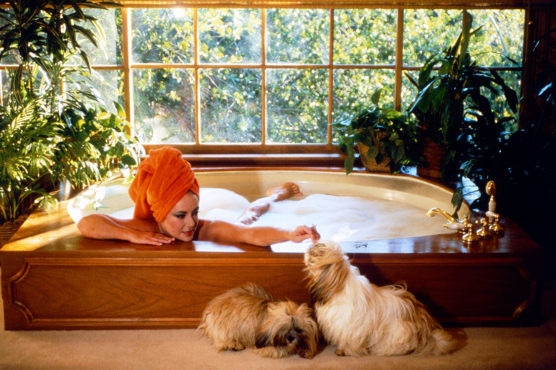 Элизабет Тейлор в ванне с бриллиантовым кольцом в 33,19 карата со своими собаками Лхаса Апсо, Реджи и Эльзой. Снято в Bel Air for Life, опубликовано в марте 1982 года. Фотограф Норман Паркинсон