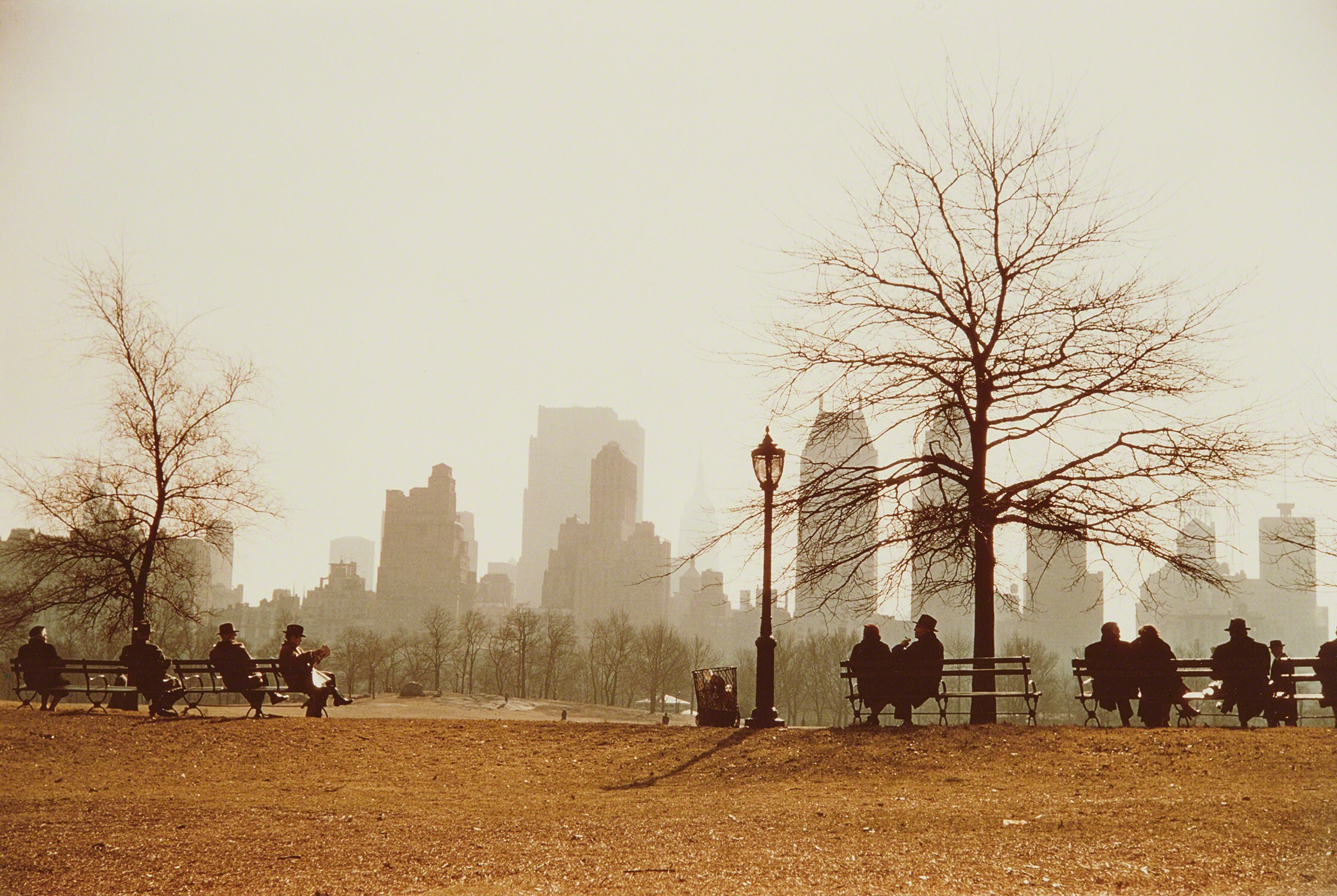 Глядя через овечий луг на юг Центрального парка, Нью-Йорк, 1958 год. Фотограф Рут Оркин