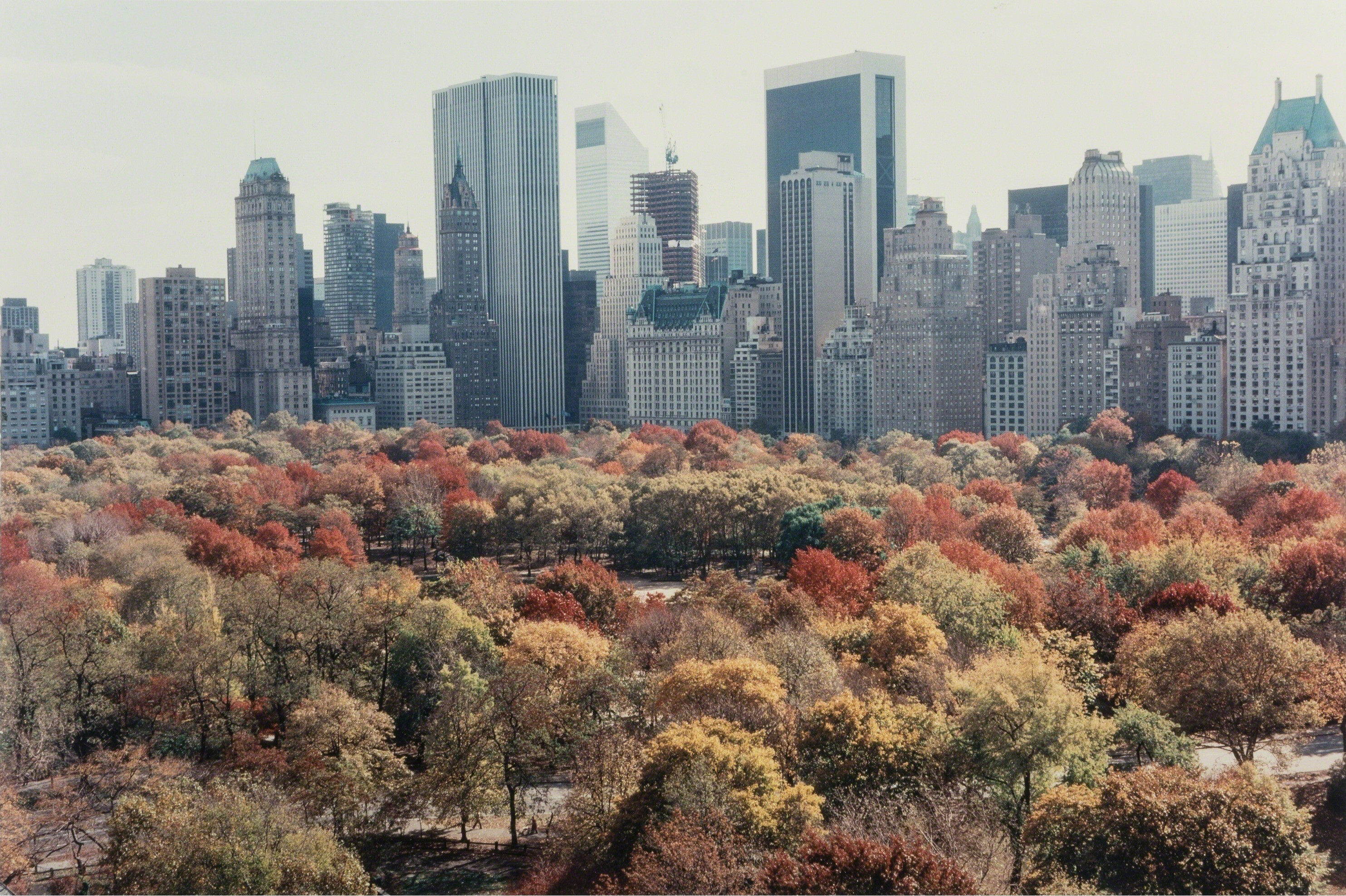 Осень на Манхэттене, 1983 год. Фотограф Рут Оркин