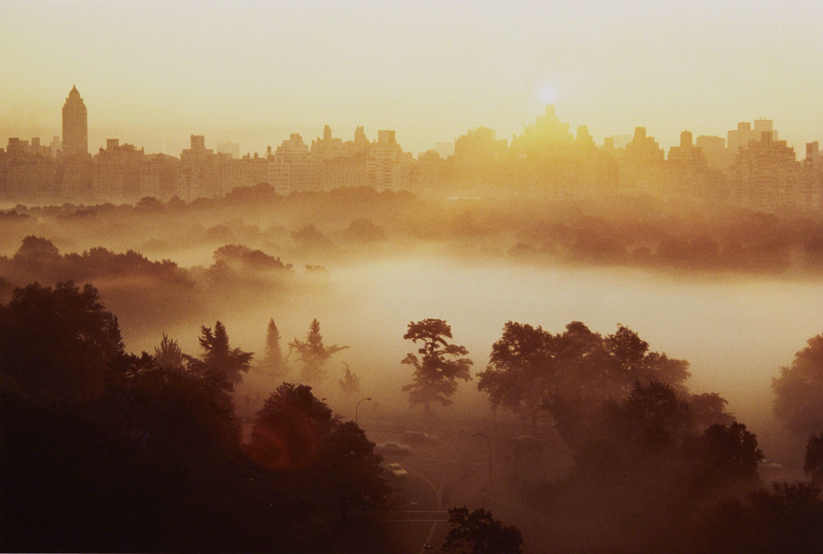 Туман над Овечьим лугом, Центральный парк, Нью-Йорк, 1971 год. Фотограф Рут Оркин
