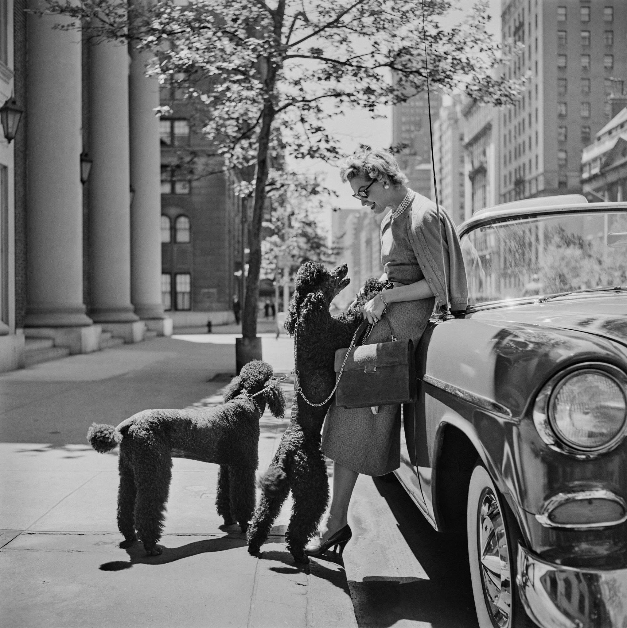 Инга Линдгрен и пудели, 1956 год. Фотограф Слим Ааронс