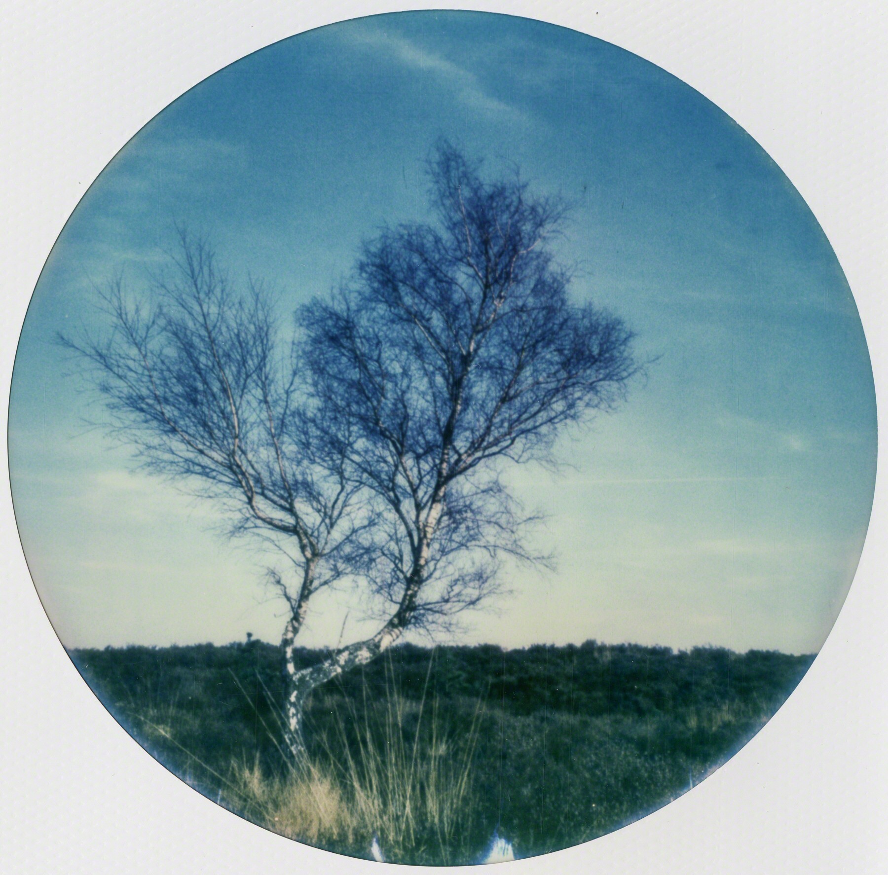 Awayland, 2017, полароид, фотограф Кирстен Тис ван ден Ауденарде