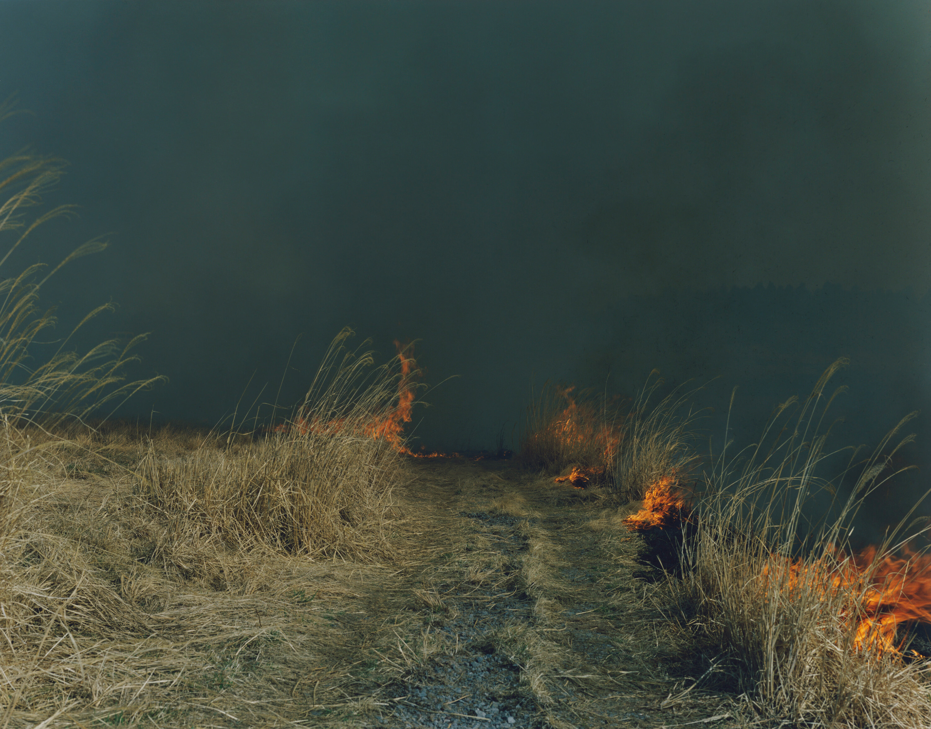 Серия Аметсучи, 2013 год. Фотограф Ринко Каваучи