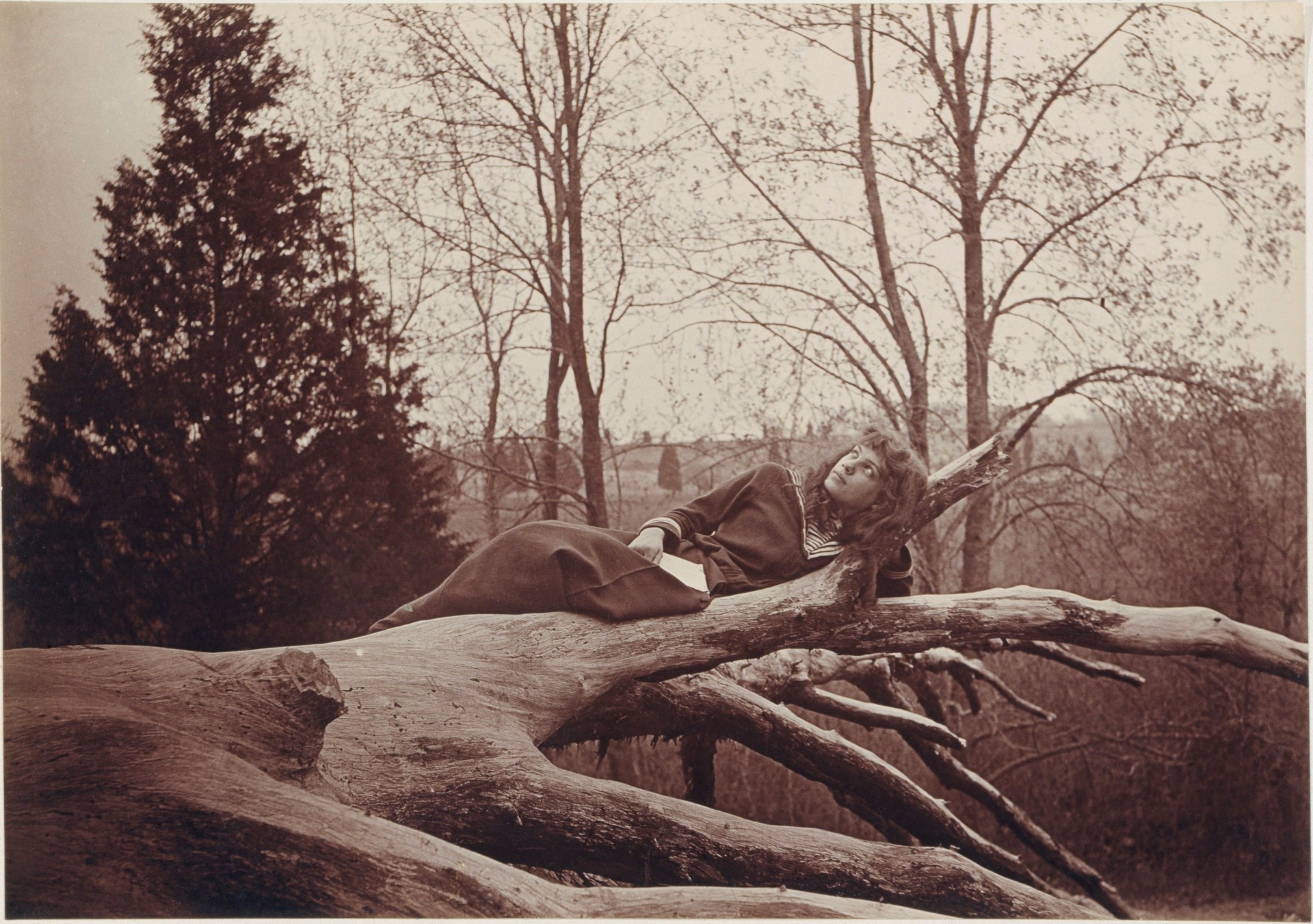 Беатрис Том на дереве, Нью-Джерси, 1893 год