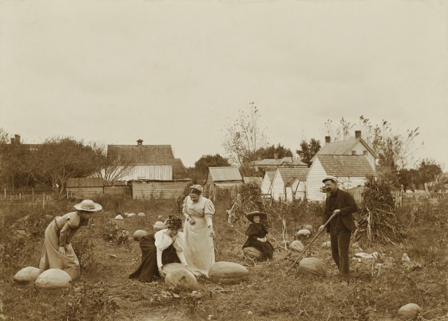 На тыквенном поле, 1898 год. Автор Джеймс Бартлетт Рич
