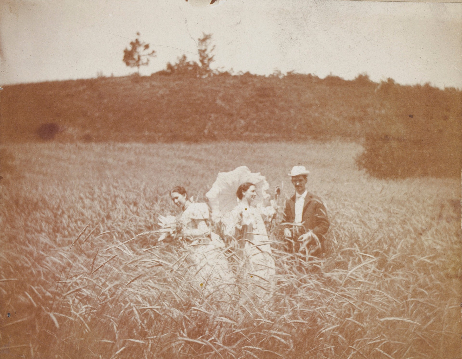Трое друзей в поле, примерно 1900 год