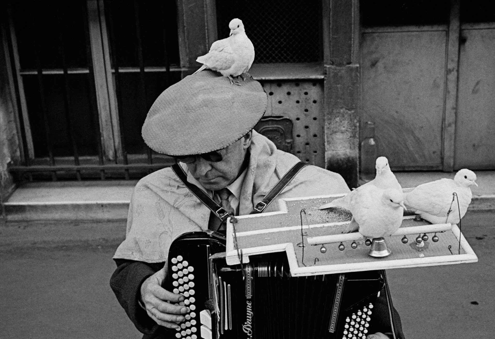 Париж, мужчина с голубями, 1956 год. Фотограф Франк Хорват