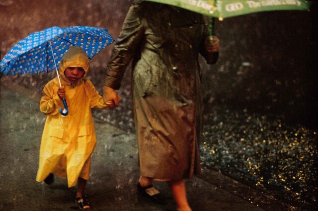 1983 год, Нью-Йорк, дождь в Центральном парке. Фотограф Франк Хорват