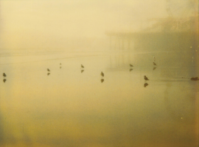 Пирс Санта-Моники (Более странно, чем рай), 1 997, полароид. Фотограф Стефани Шнайдер