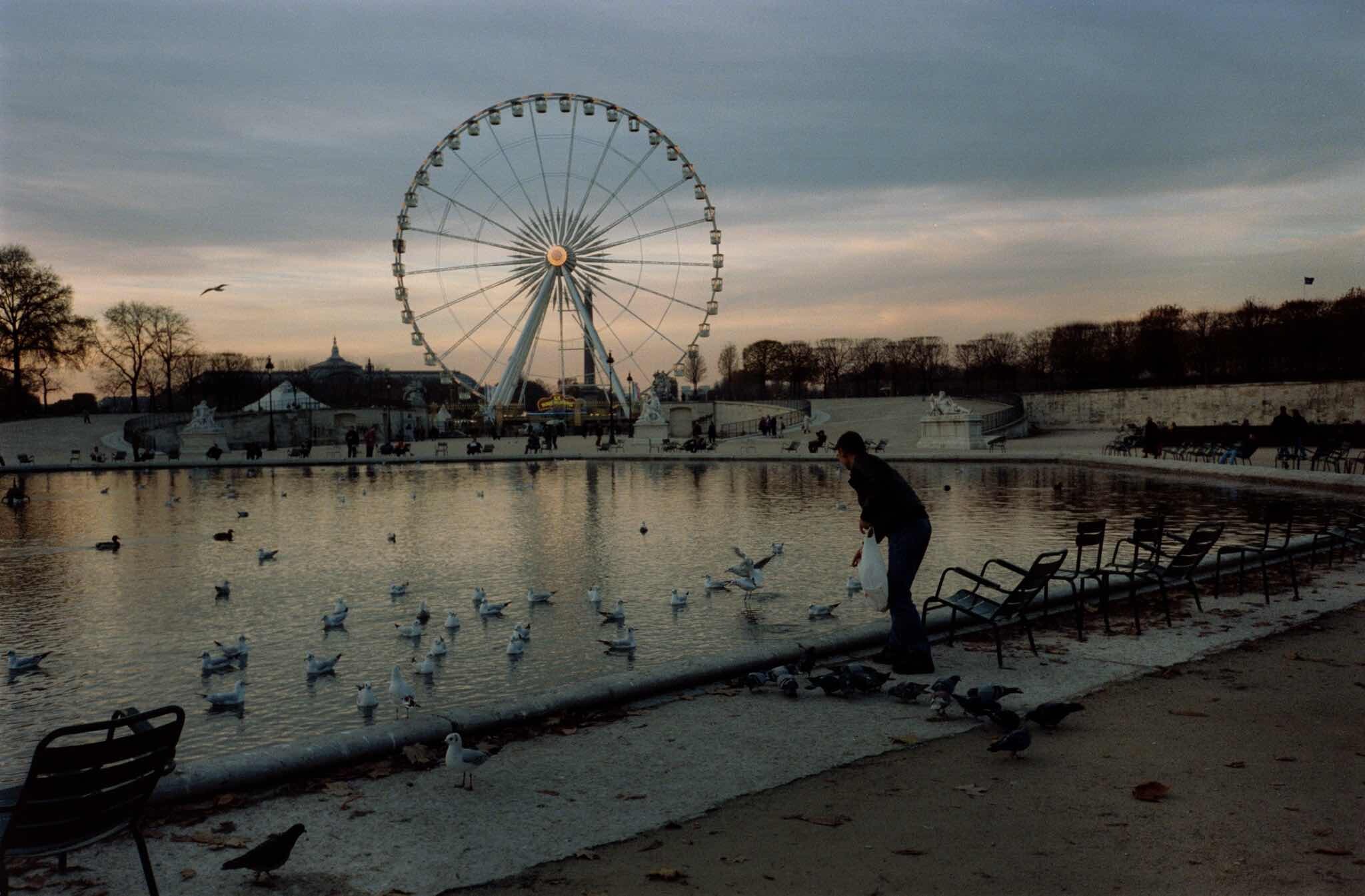 Проект Ежедневный отчет, Париж, Сад Тюильри, Колесо тысячелетия, ноябрь, 1999 год. Фотограф Франк Хорват