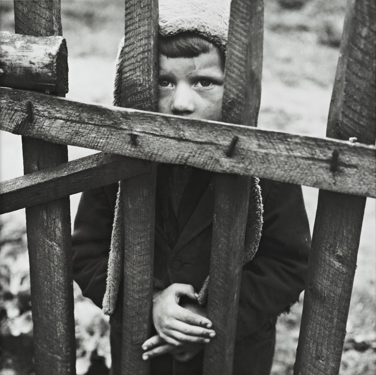 Взгляд, Годеляй, 1973 год, фотограф Антанас Суткус