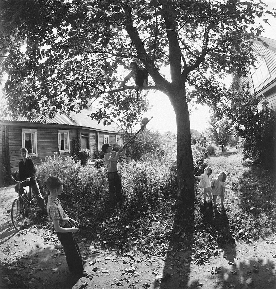 Лето в Салакасе, Аукштайтия, 1978 год, фотограф Антанас Суткус / Фото ...