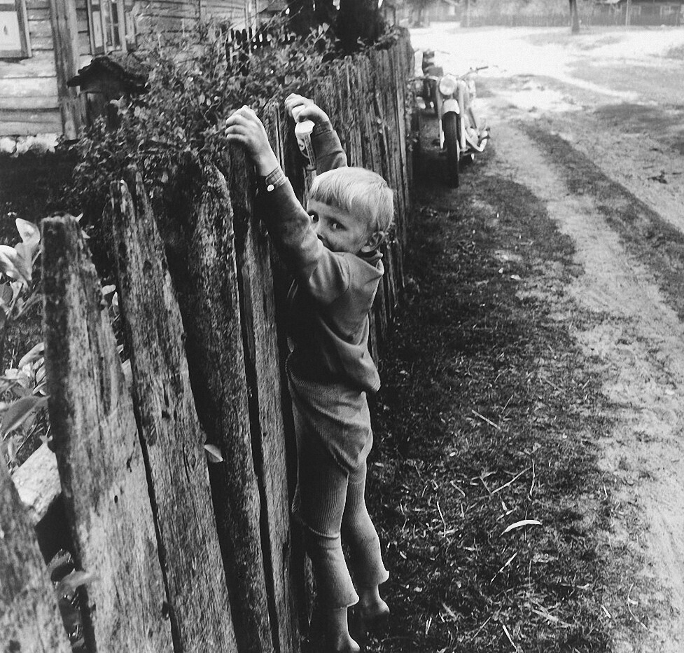 Мальчик на заборе, Дзукия, 1971 год, фотограф Антанас Суткус