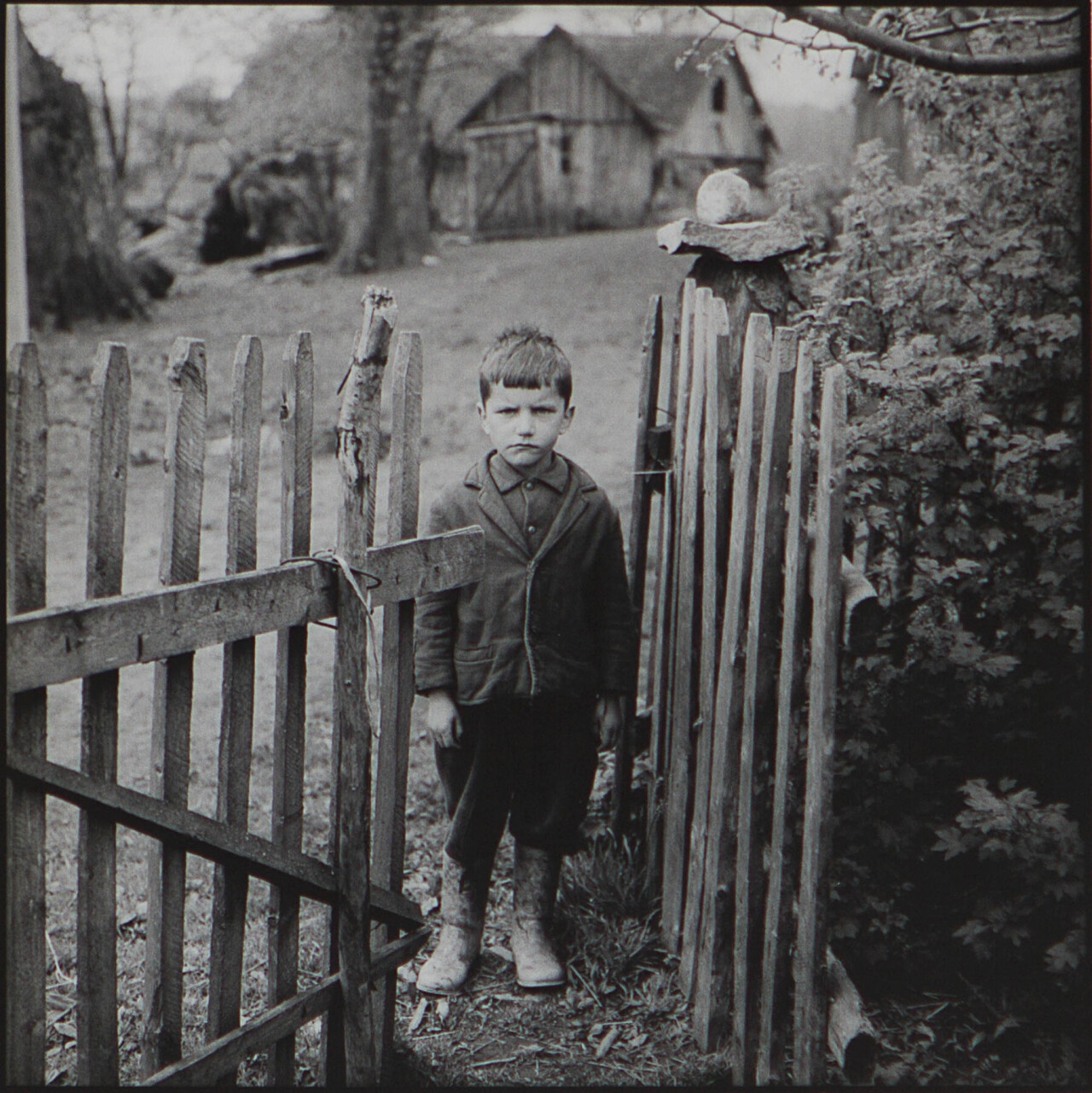 Мальчик у ворот, 1971 год, фотограф Антанас Суткус