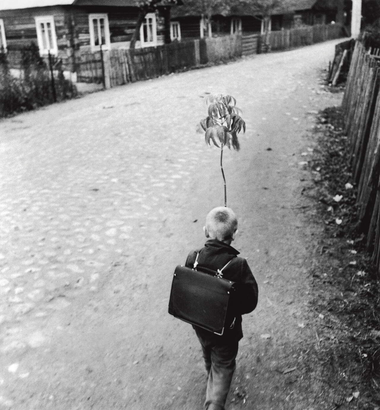 Дорога детства, Дзукия, 1969 год, фотограф Антанас Суткус