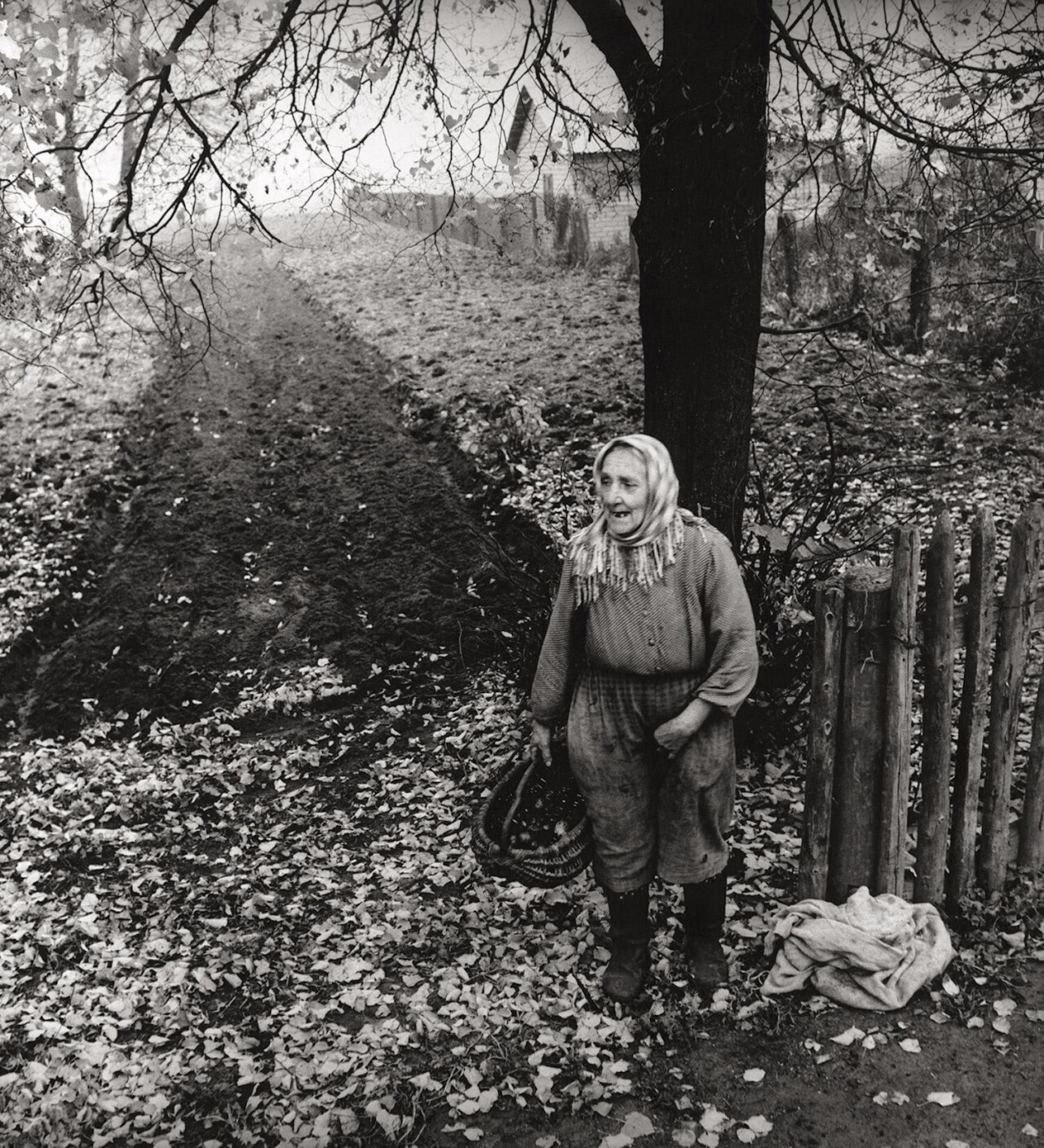 Осенние произведения, 1968 год, фотограф Антанас Суткус