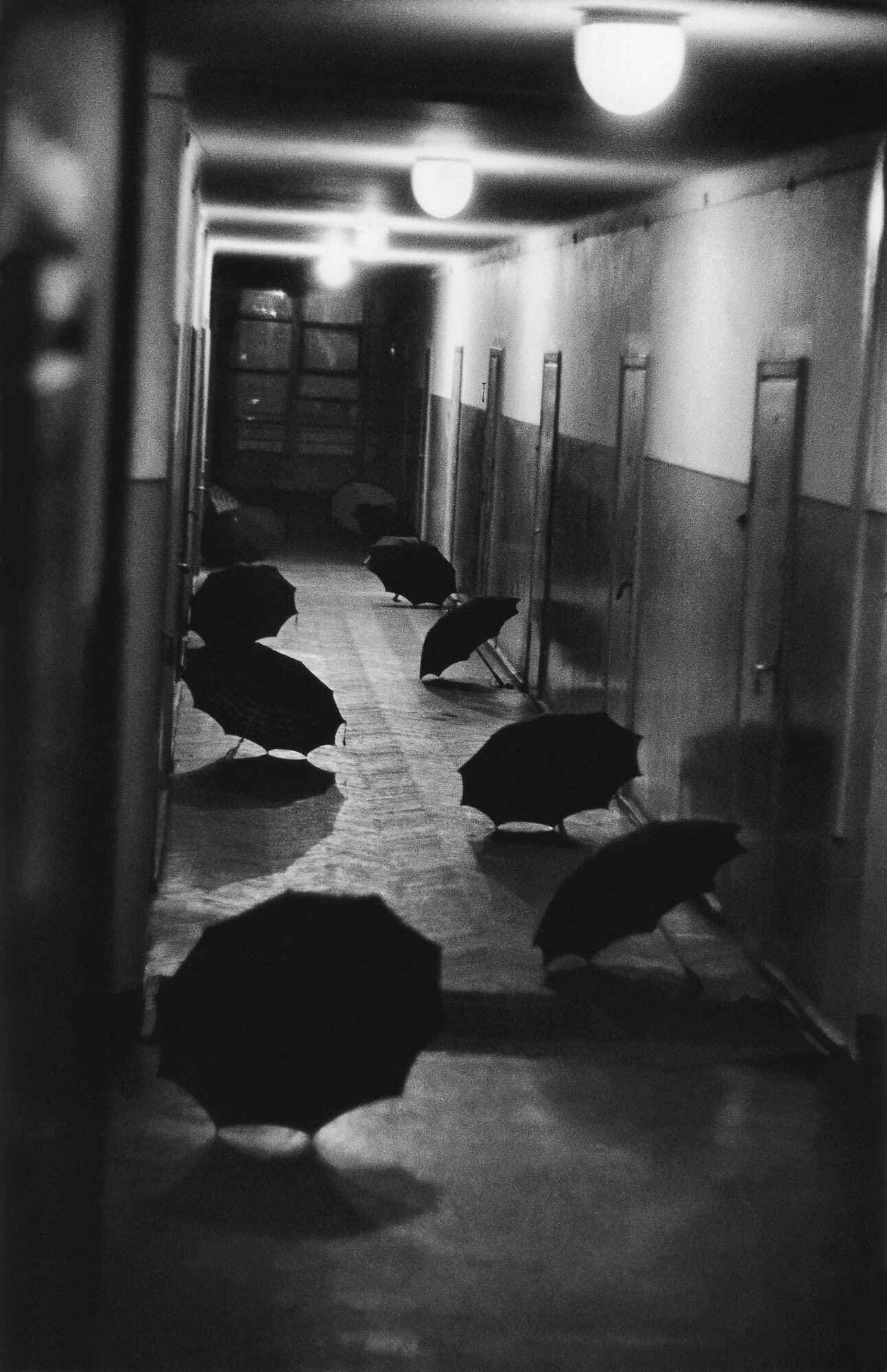 Вильнюс, Университет, Общежитие, 1959 год, фотограф Антанас Суткус