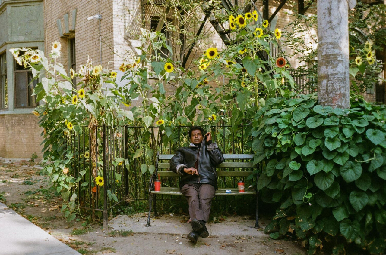 Торонто. Фотограф Джесика Девич / Фото / Камералабс
