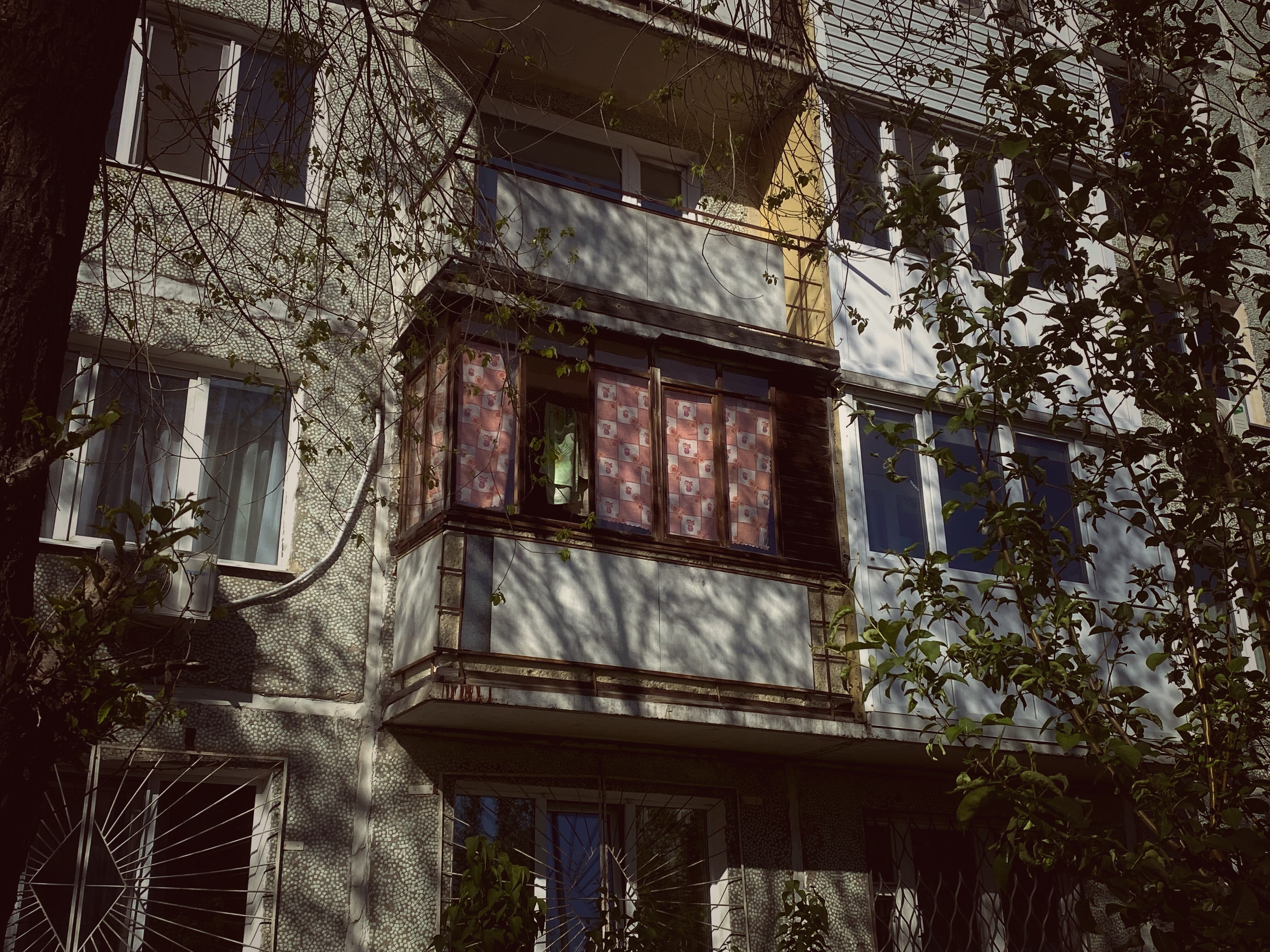 Ах, Панельки! №4, Россия, Омск, 2025. Фотограф Георгий Финк