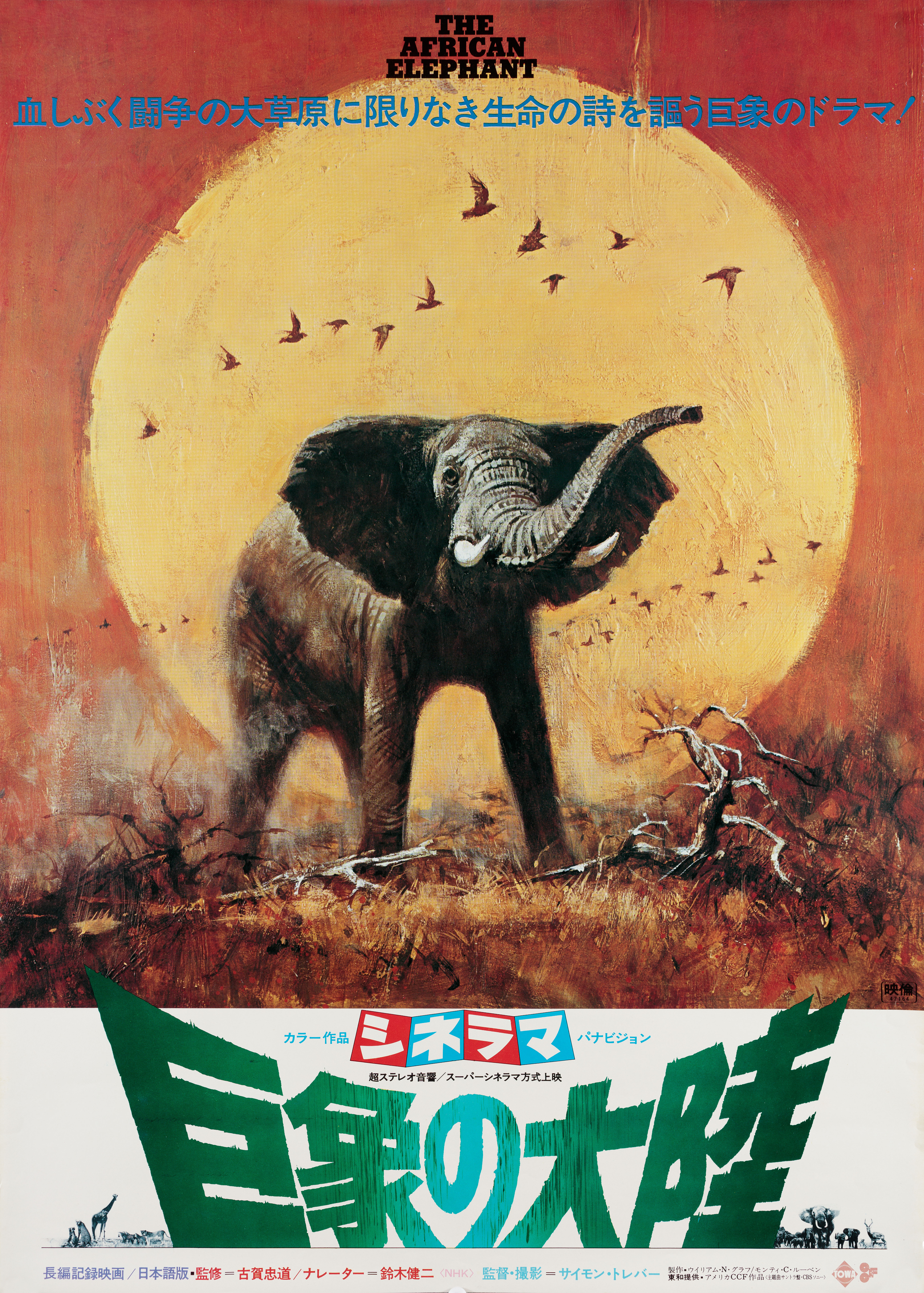 Африканский слон (The African Elephant, 1971), режиссёр Саймон Тревор, художественный постер к фильму (Япония, 1972 год)