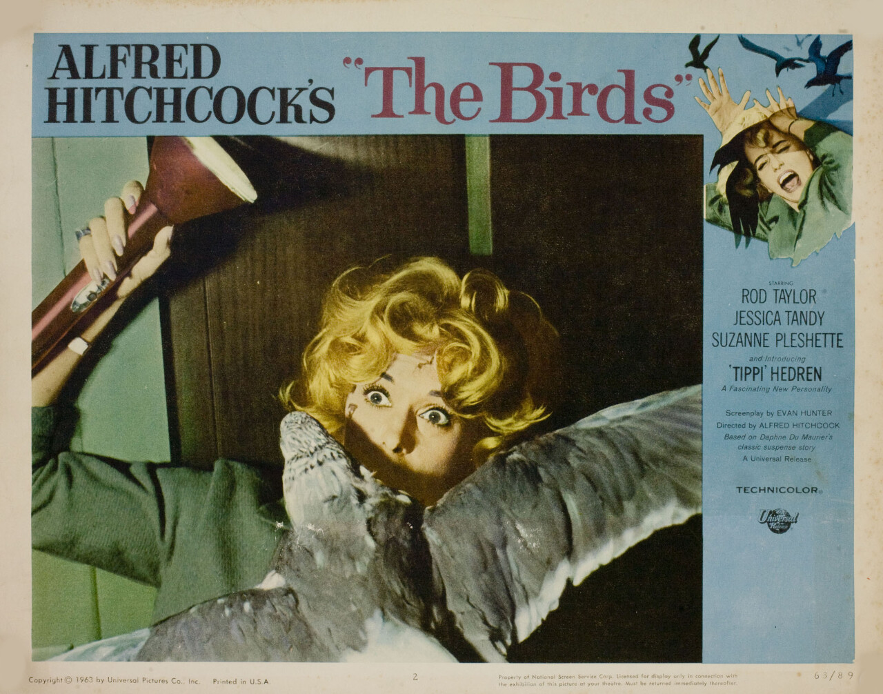 Птицы (The Birds, 1963), режиссёр Альфред Хичкок, американский постер к фильму (ужасы, 1963 год) (11)