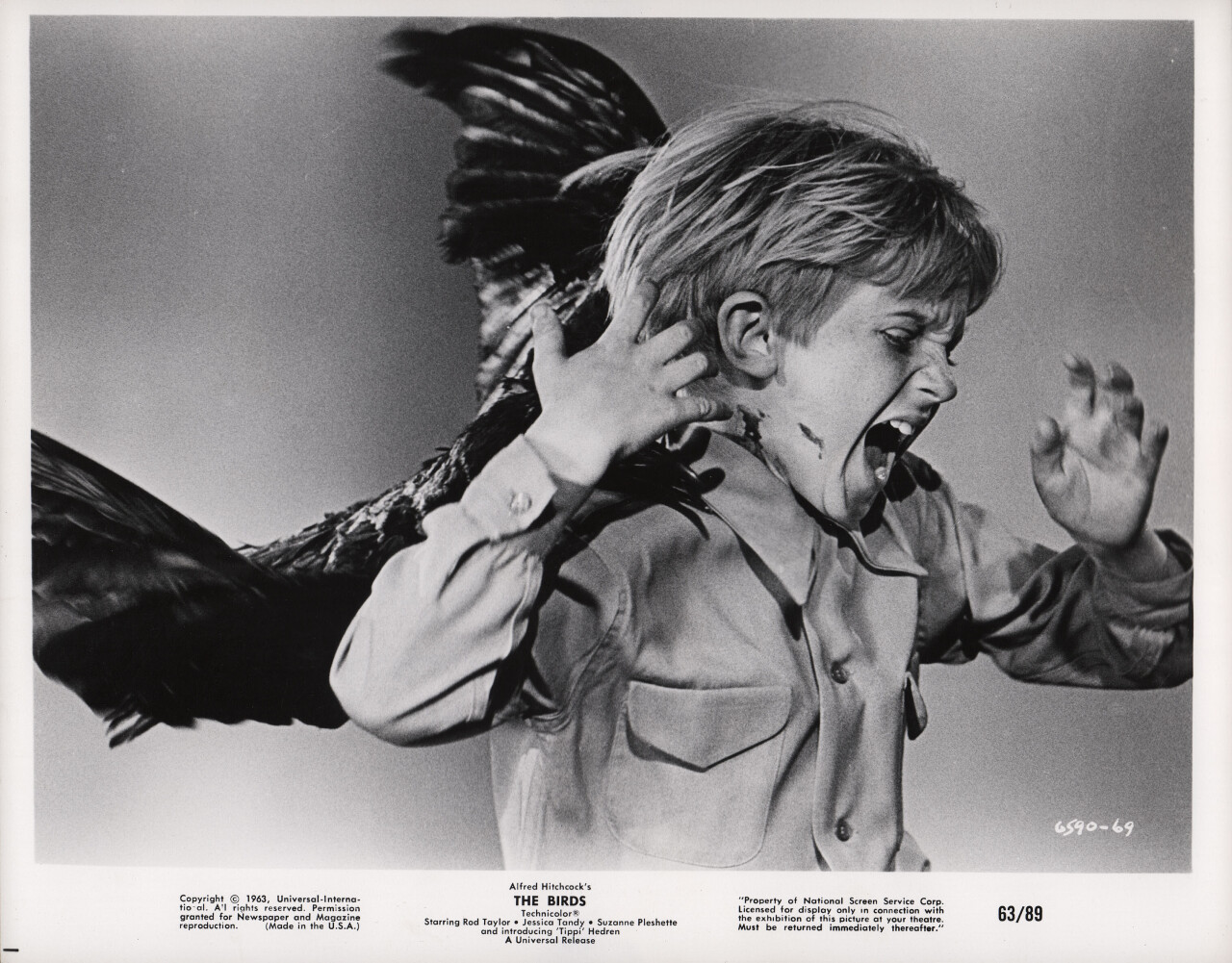 Птицы (The Birds, 1963), режиссёр Альфред Хичкок, американский постер к фильму (ужасы, 1963 год) (8)