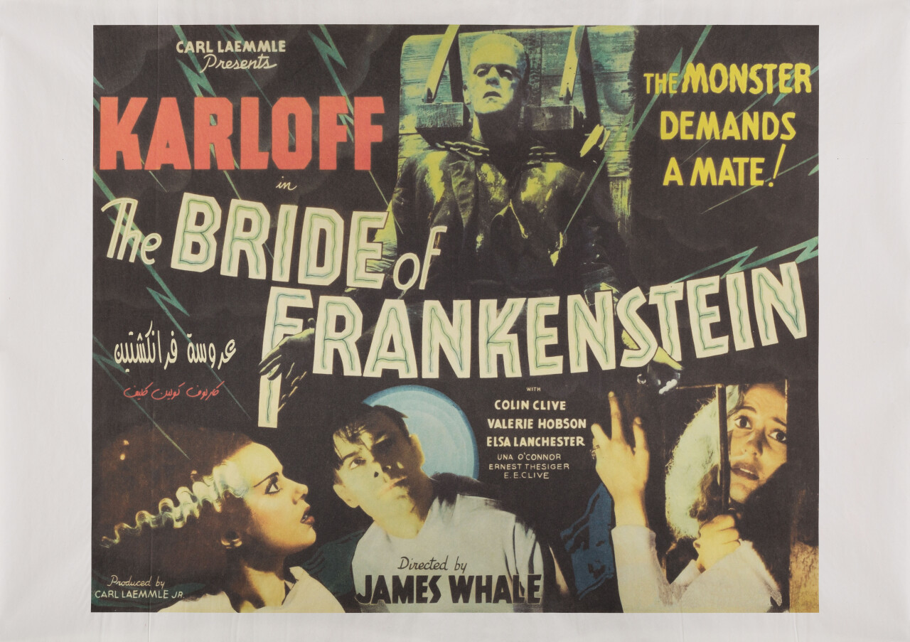 Невеста Франкенштейна (The Bride of Frankenstein, 1935), режиссёр Джеймс Уэйл, египетский постер к фильму (ужасы, 2000 год)