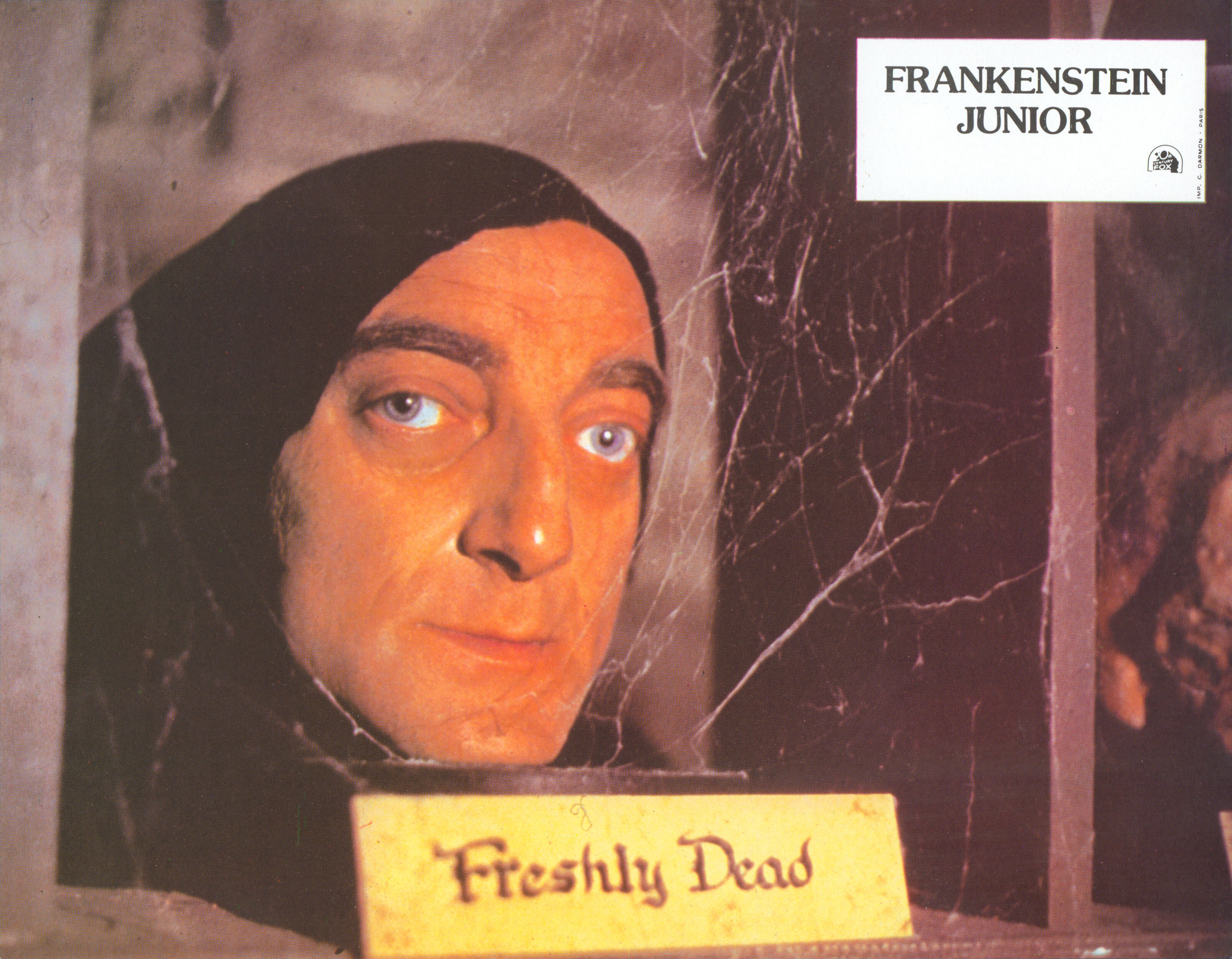 Молодой Франкенштейн (Young Frankenstein, 1974), режиссёр Мэл Брукс, французский постер к фильму (ужасы, 1974 год)_12