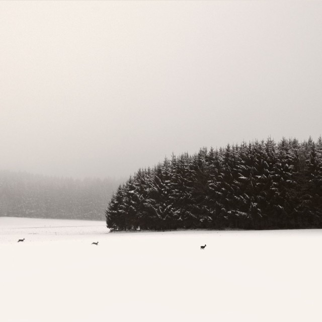 2 место в категории «Файн-арт», 2019. Зимний пейзаж в Баварии из серии «Молчание». Автор Лена Вайсбек